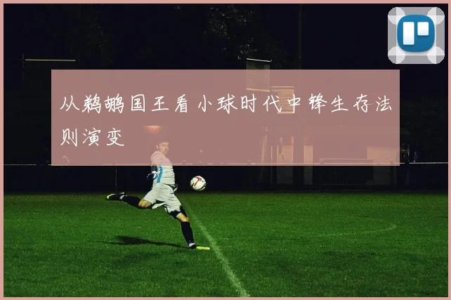 从鹈鹕国王看小球时代中锋生存法则演变