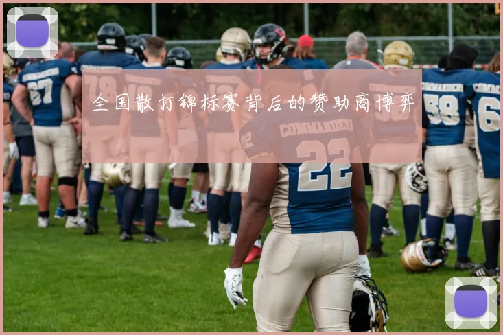 全国散打锦标赛背后的赞助商博弈