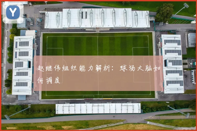 赵继伟组织能力解析：球场大脑如何调度