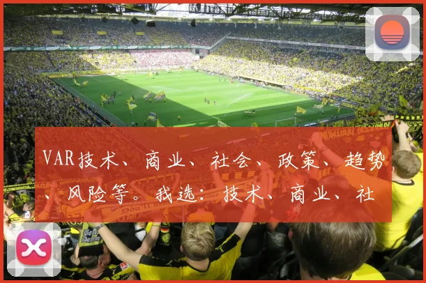 VAR技术、商业、社会、政策、趋势、风险等。我选：技术、商业、社会、政策、趋势、风险。案例也可但避免与趋势混淆。或者用案