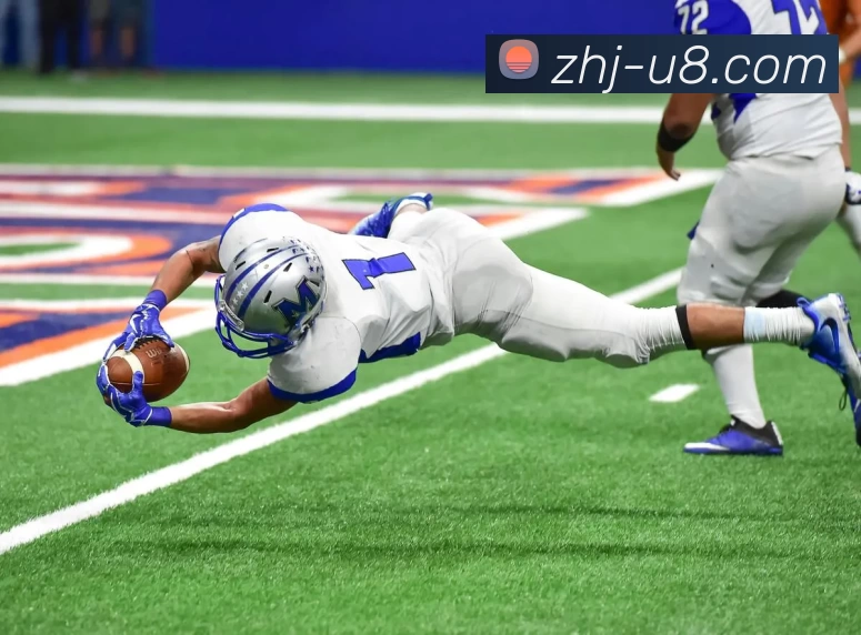 App Interface Preview